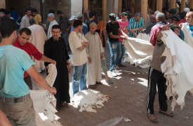 Fez Skin market